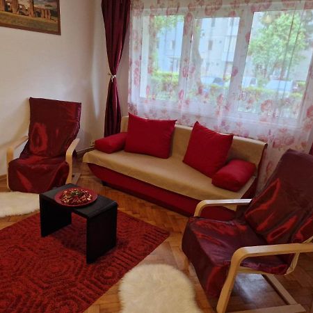 Petuniei Apartment Μπρασόβ Εξωτερικό φωτογραφία