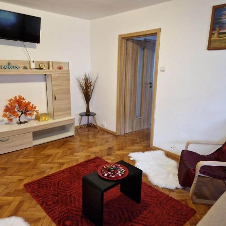 Petuniei Apartment Μπρασόβ Εξωτερικό φωτογραφία