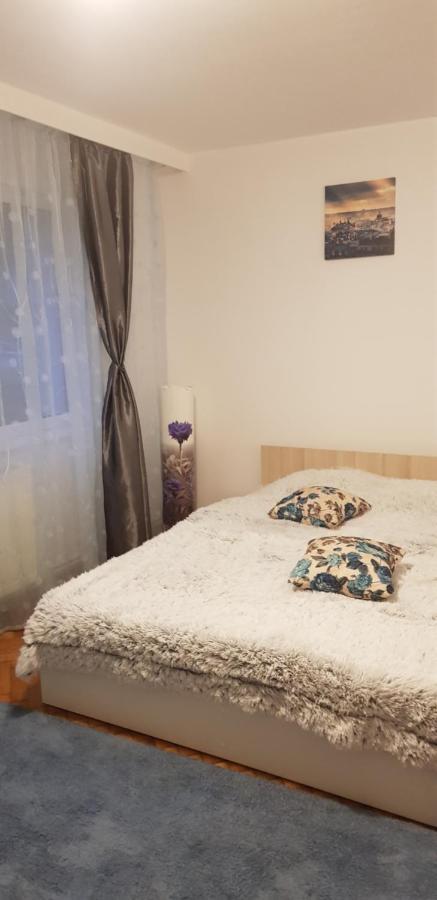 Petuniei Apartment Μπρασόβ Εξωτερικό φωτογραφία
