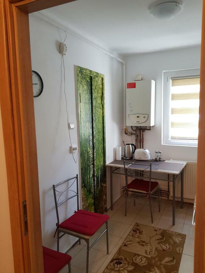 Petuniei Apartment Μπρασόβ Εξωτερικό φωτογραφία