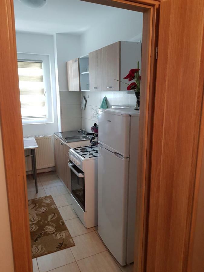 Petuniei Apartment Μπρασόβ Εξωτερικό φωτογραφία