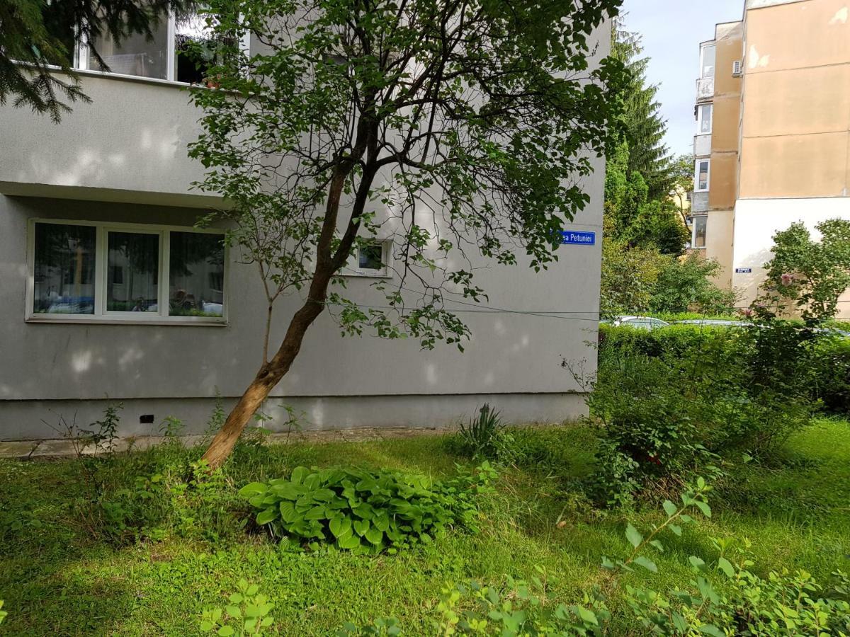 Petuniei Apartment Μπρασόβ Εξωτερικό φωτογραφία
