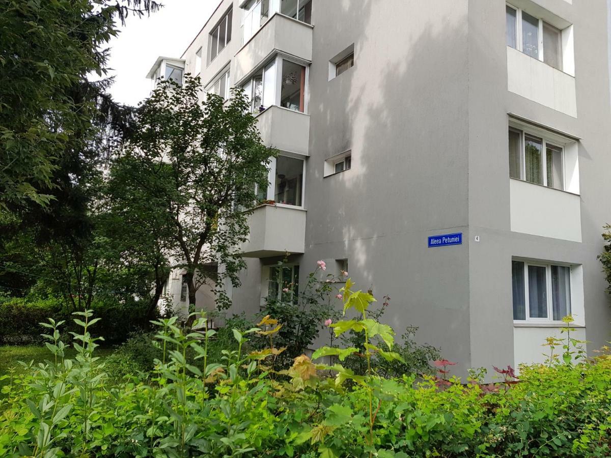 Petuniei Apartment Μπρασόβ Εξωτερικό φωτογραφία